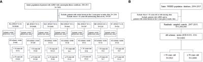 Evaluating the risk of ischemic stroke at a young age in patients with autoimmune inflammatory rheumatic diseases: a population-based cohort study in Taiwan